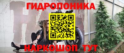 МДПВ Гатчина