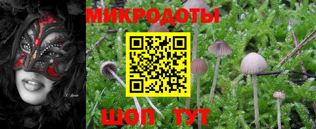 Псилоцибиновые грибы Psilocybe  Вход с VPN  Набережные Челны 